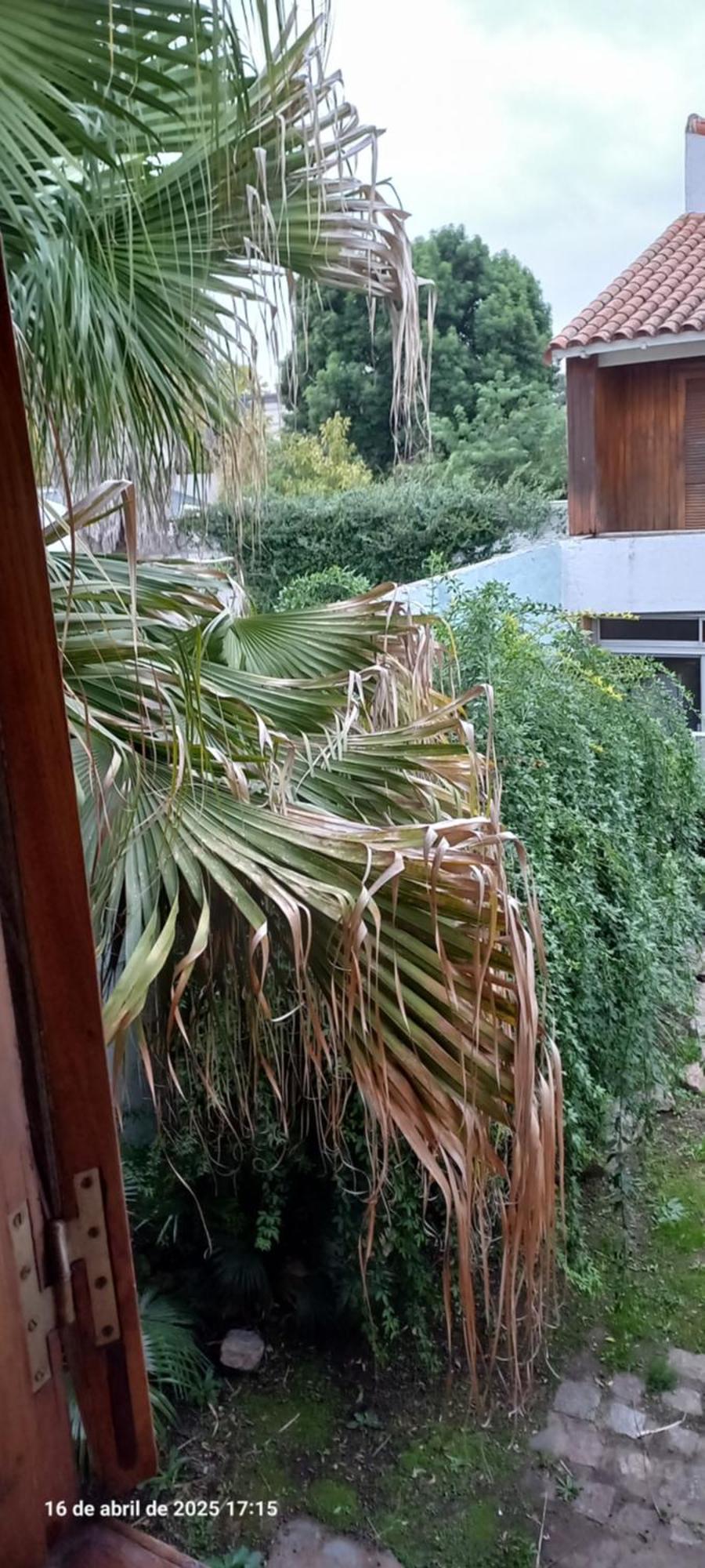 Ezeiza Bed And Breakfast 外观 照片